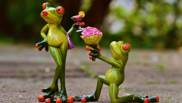 The perfect proposal