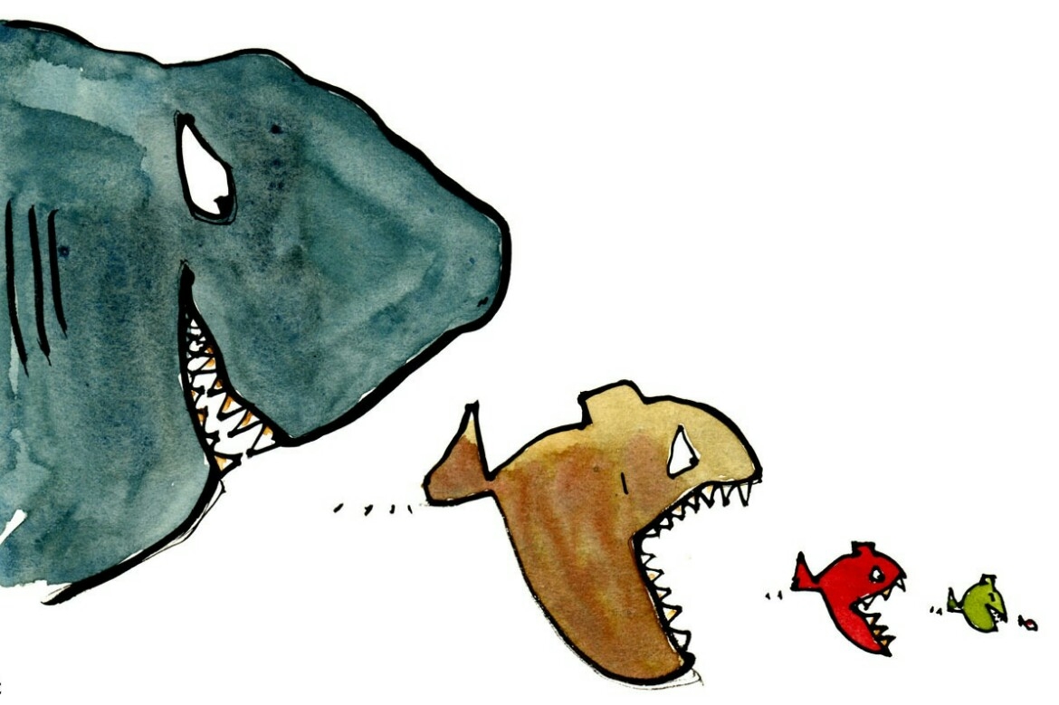 Which caste do you belong to...?