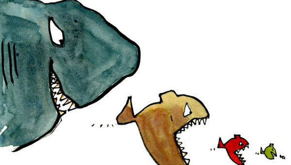 Which caste do you belong to...?